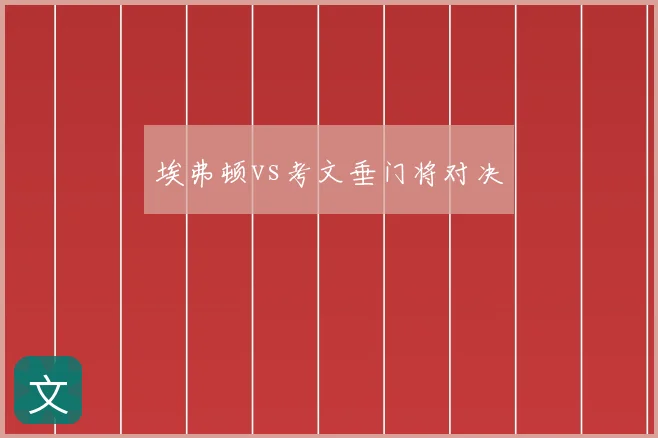 埃弗顿vs考文垂门将对决