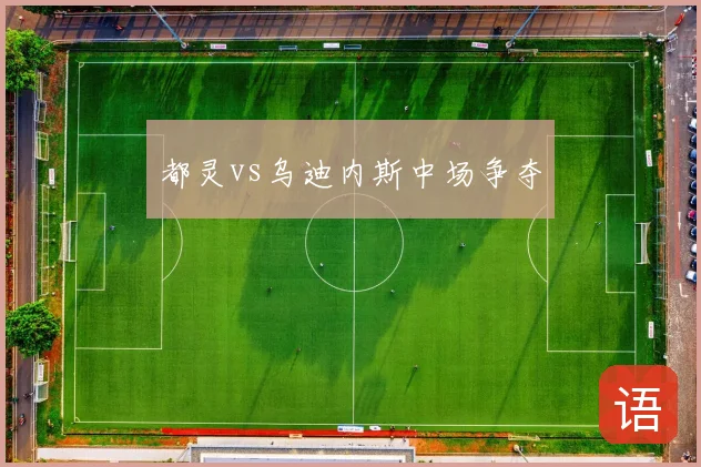 都灵vs乌迪内斯中场争夺